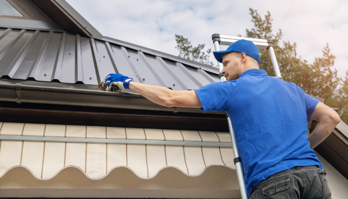 gutter cleaning